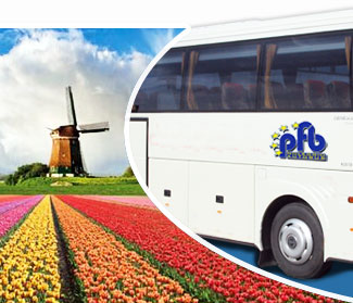 Mulini a vento e tulipani - Amsterdam